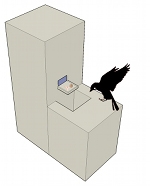 Feeding Stage Two